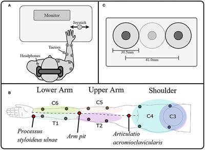 Vibrotactile mapping of the upper extremity: Absolute perceived intensity is location-dependent; perception of relative changes is not